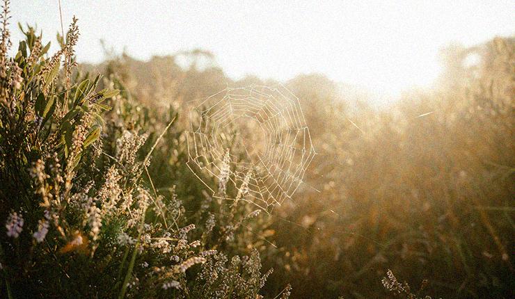 Stretching Joy: 10 Ways to Notice God’s Everyday Mercies