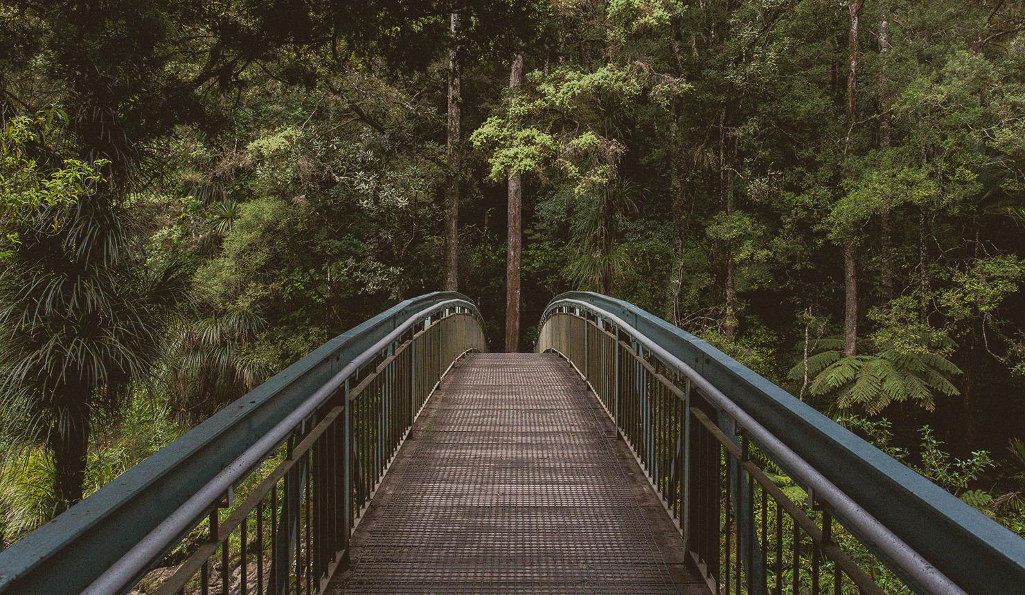 Understanding & Cultivating Forgiveness