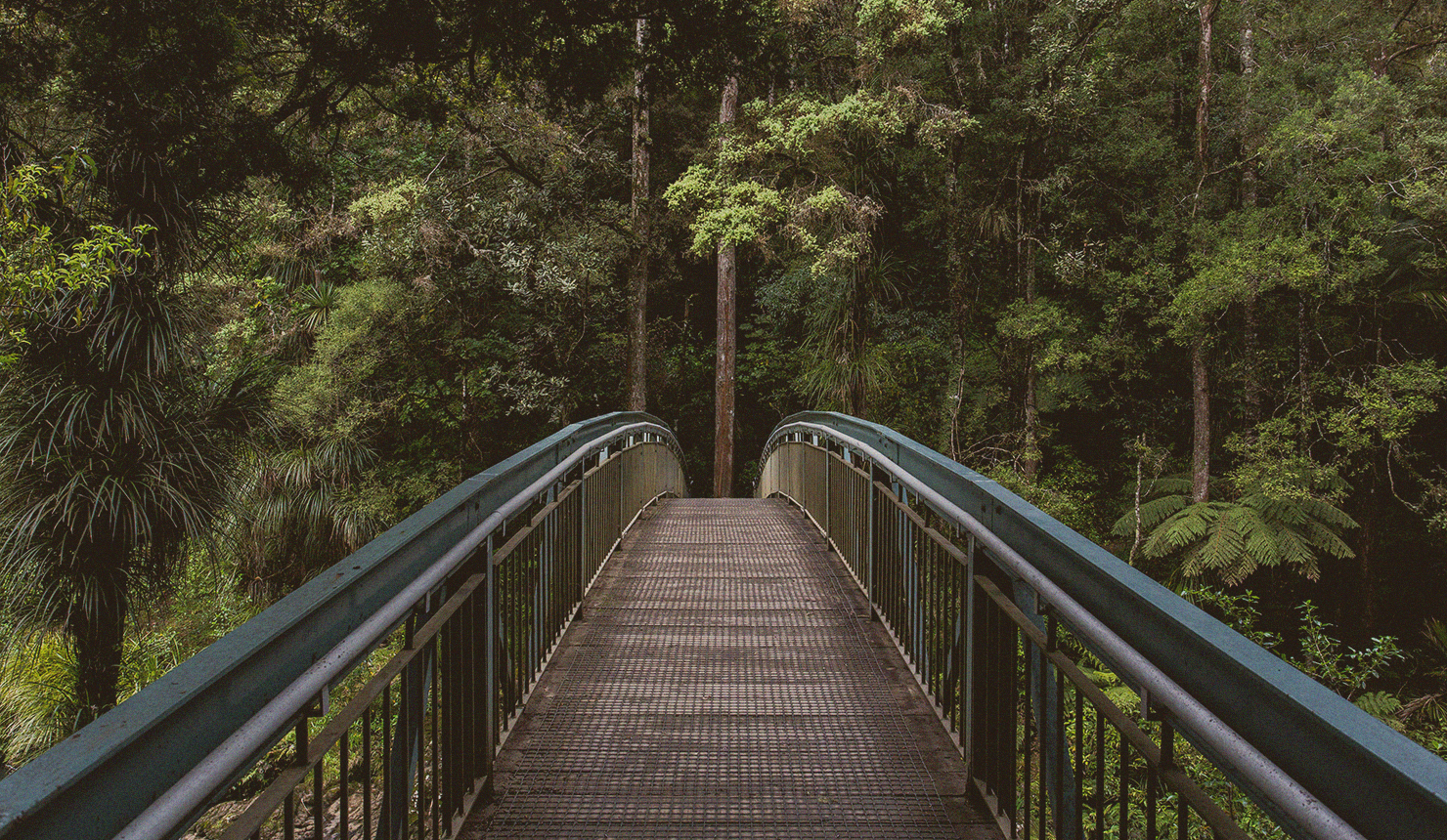 Featured image for Understanding & Cultivating Forgiveness