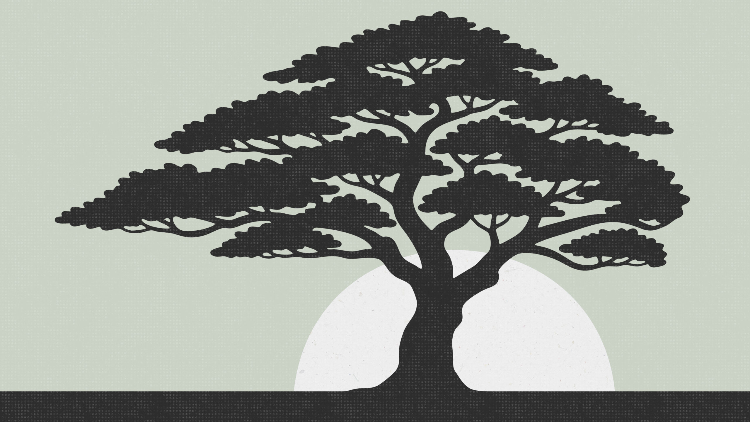 Hero image for Becoming a Refuge