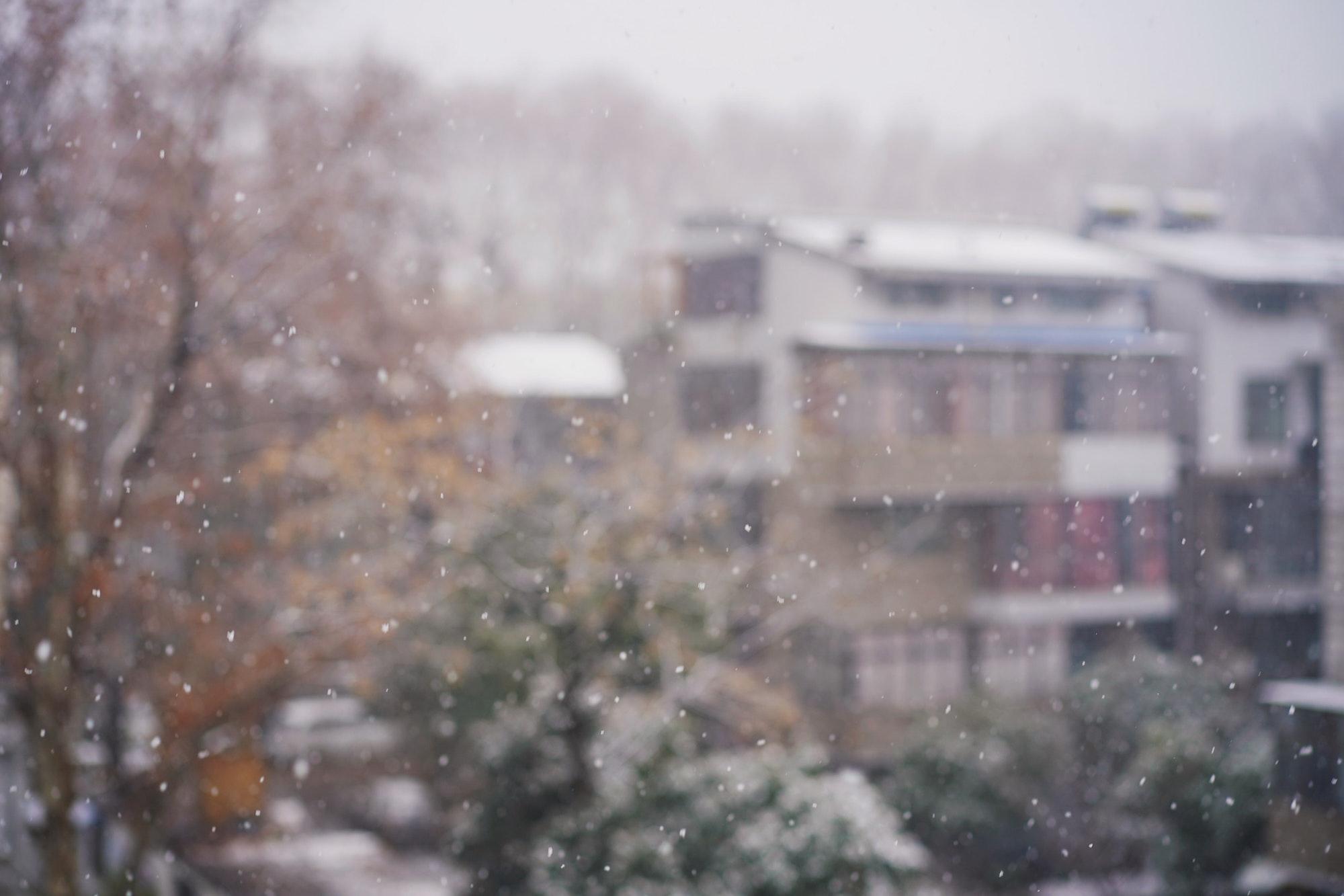 A few more thoughts for moms at home this winter
