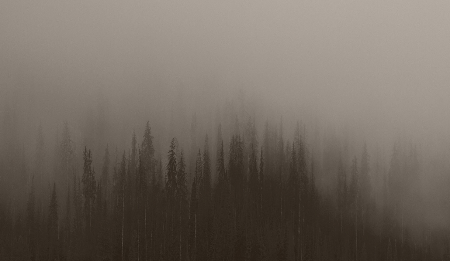 Featured image for Addictions (Part 1)