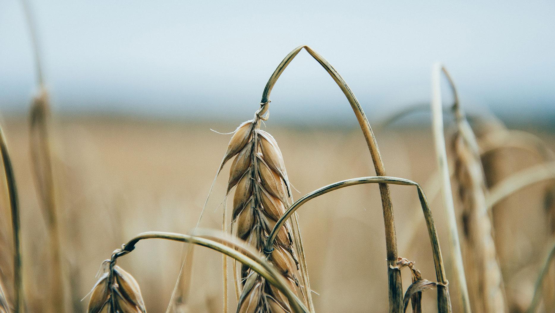 Spiritual Abuse in Marriage (Part 2)