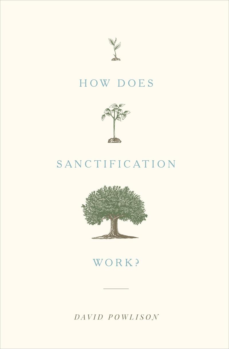 Book cover for How Does Sanctification Work?